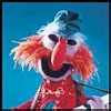 Muppet Floyd avatar