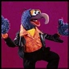 Muppet Gonzo avatar