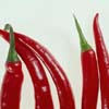 Hot Peppers jpg avatar