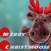 Merry Christmoose avatar