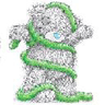 Tinsel Bear avatar
