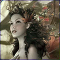 raynedove Avatar