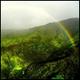 Rainforest Rainbow avatar