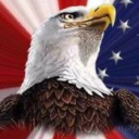 Bald Eagle Stars And Stripes avatar