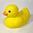 Rubber duck avatar