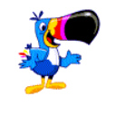 Tucan avatar