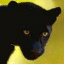 Black Leopard avatar