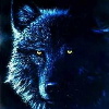 Black Wolf avatar