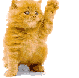 Cat Waving avatar