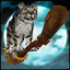 Flying cat avatar