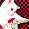 Guitar kitty avatar