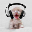 Headphones cat avatar