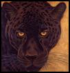 Jaguar avatar
