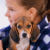 Beagle gif avatar