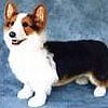 Corgi avatar