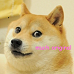 Doge avatar