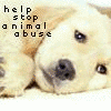 Help stop animal abuse avatar