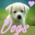 I Love Dogs avatar