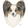 Papillon Painting avatar