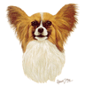 Papillon Portrait avatar