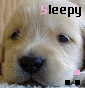 Sleepy... avatar