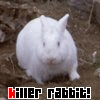 Killer rabbit avatar