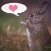 Lovebunny avatar