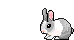 sweet bunny avatar