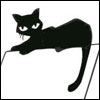 black cat avatar