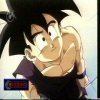 Gohan - Victory Chilling avatar