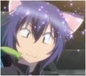 Crazy Ikuto avatar