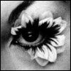 Flowerbud eye avatar