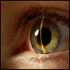 Laser eye avatar