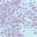 Fingerprint avatar
