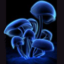 Fluorescence avatar