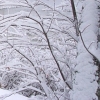 Winter 3 avatar