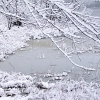 Winter 4 avatar
