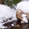 Winter 5 avatar