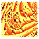 Wood avatar