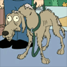 Really old dog avatar