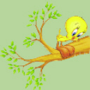 Tweety On A Branch avatar
