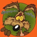 Wiley Coyote Beaten Again avatar