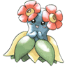 Bellossom avatar