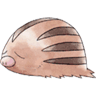 Swinub avatar