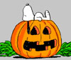 Snoopy Pumpkin avatar