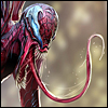 Carnage tongue avatar