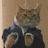 Cat bop avatar