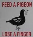 Feed a pigeon avatar