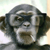 Smoking chimp avatar