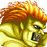 Blanka Portrait avatar